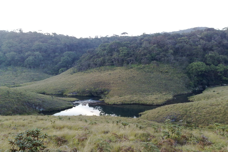 Sri Lanka, Horton Plains